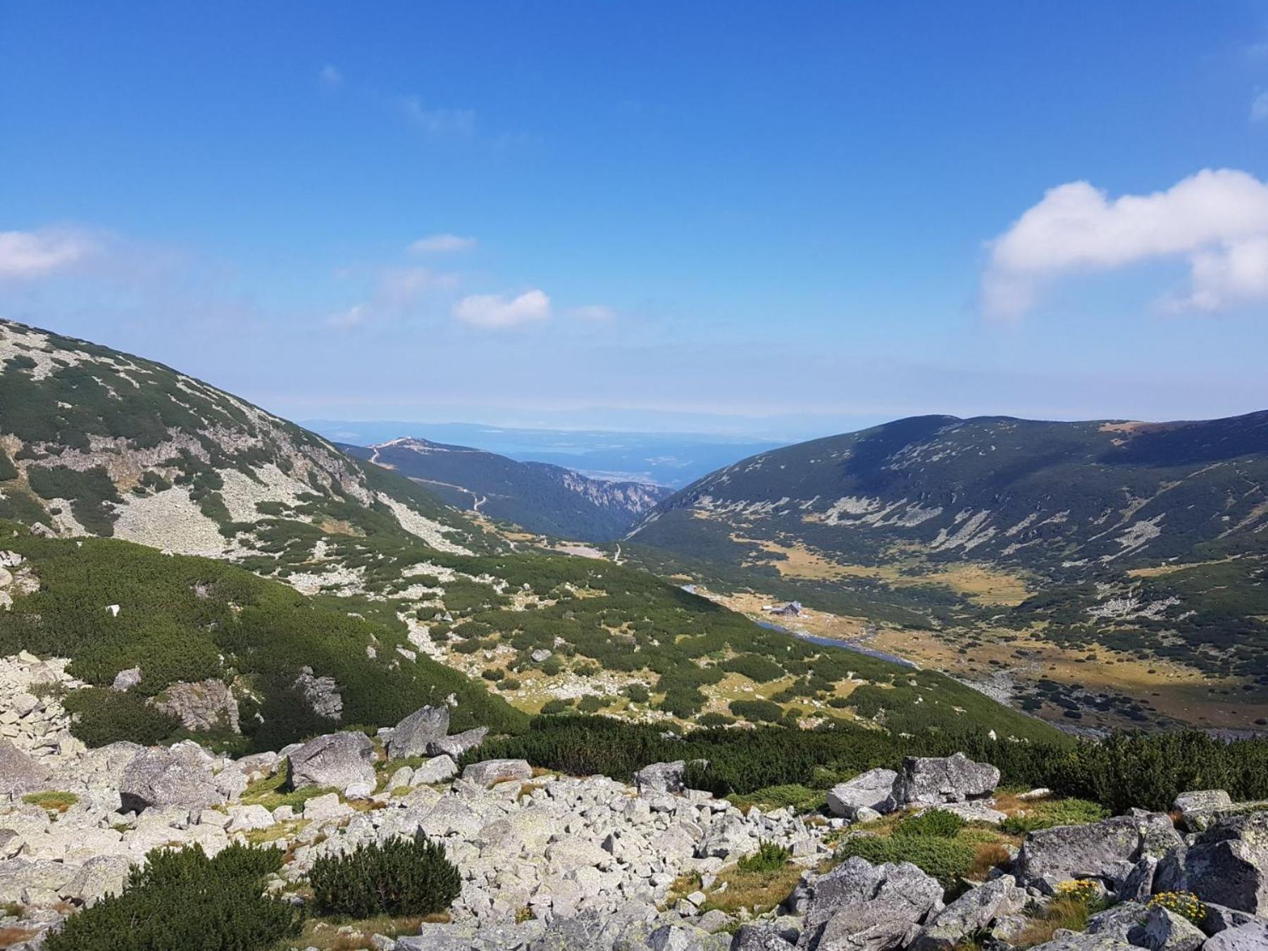 Flora Apartments Tmf Borovets Buitenkant foto