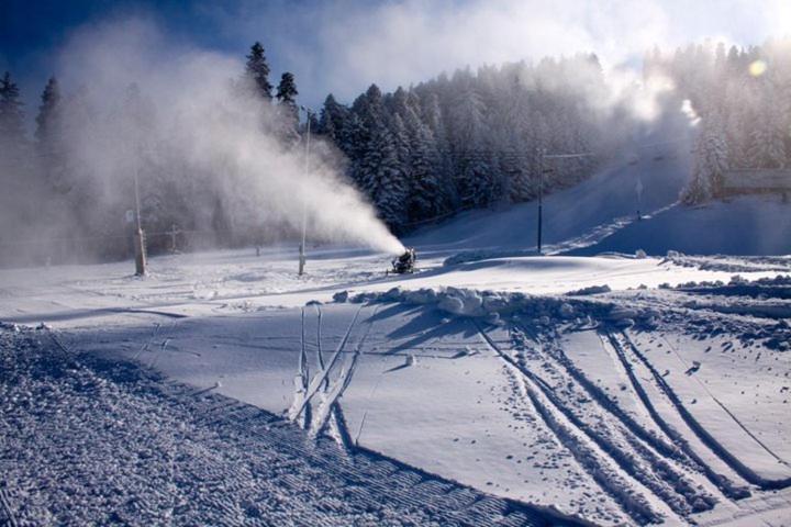 Flora Apartments Tmf Borovets Buitenkant foto