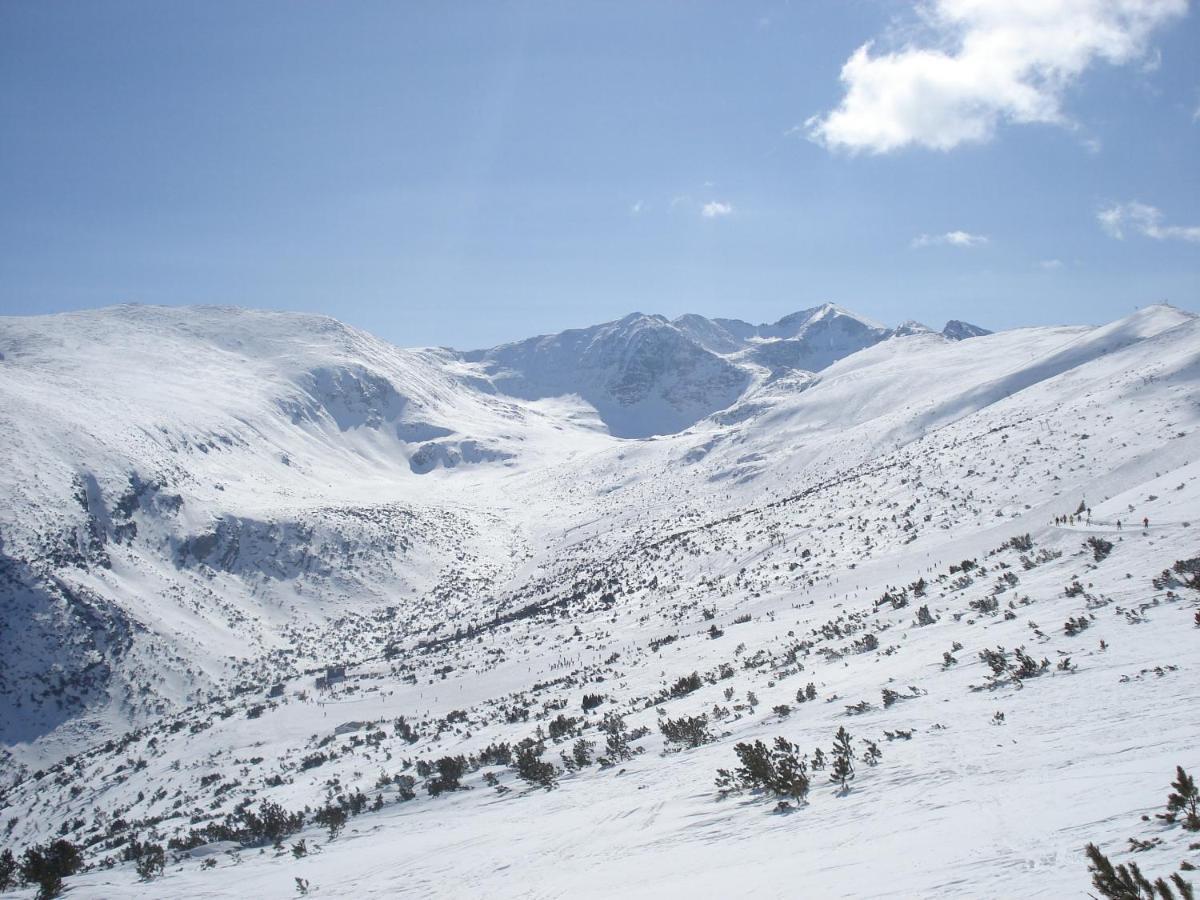 Flora Apartments Tmf Borovets Buitenkant foto